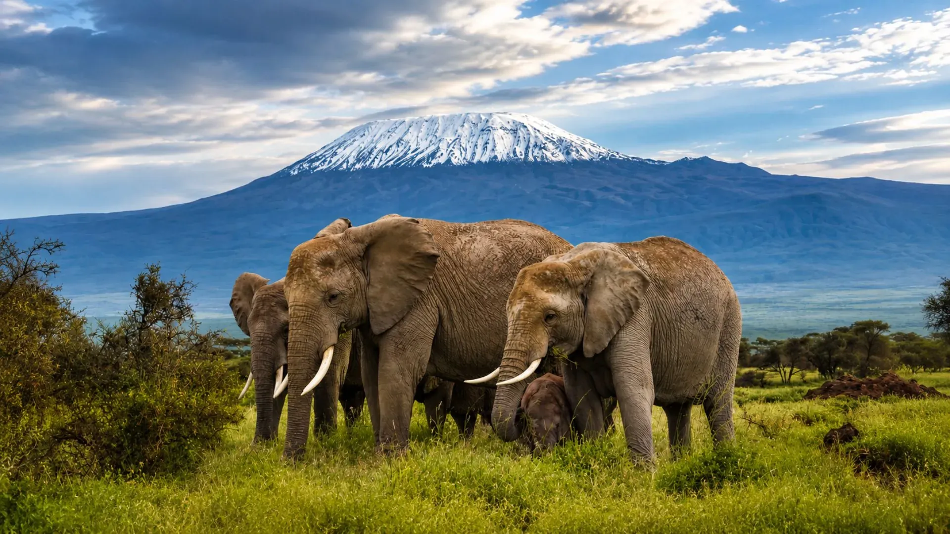 Amboseli National Park