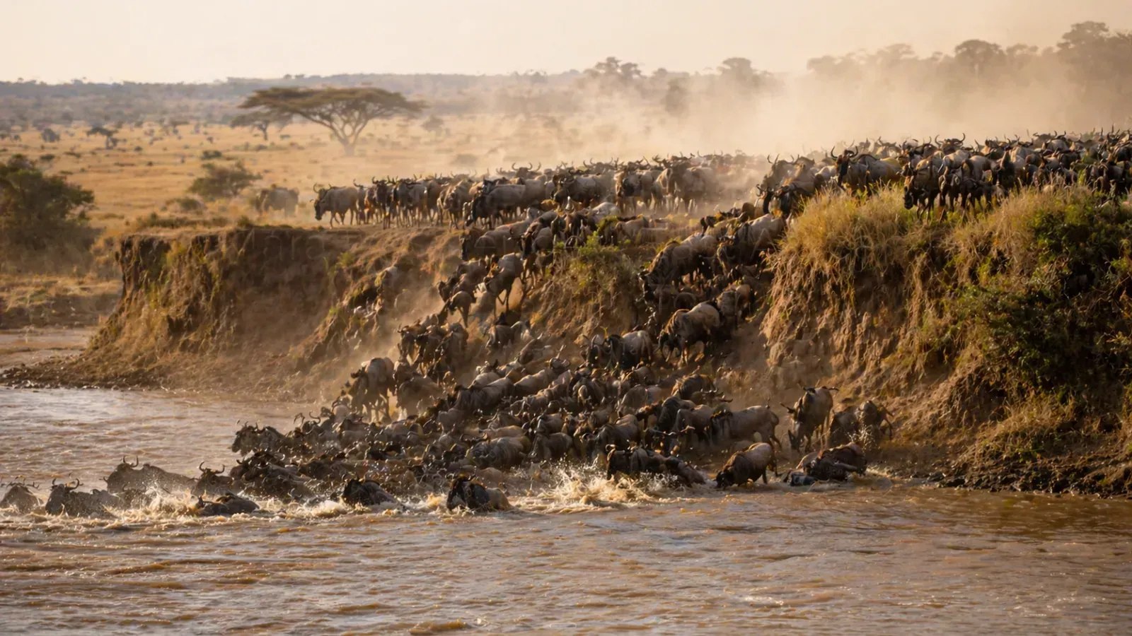 Masai Mara National Reserve