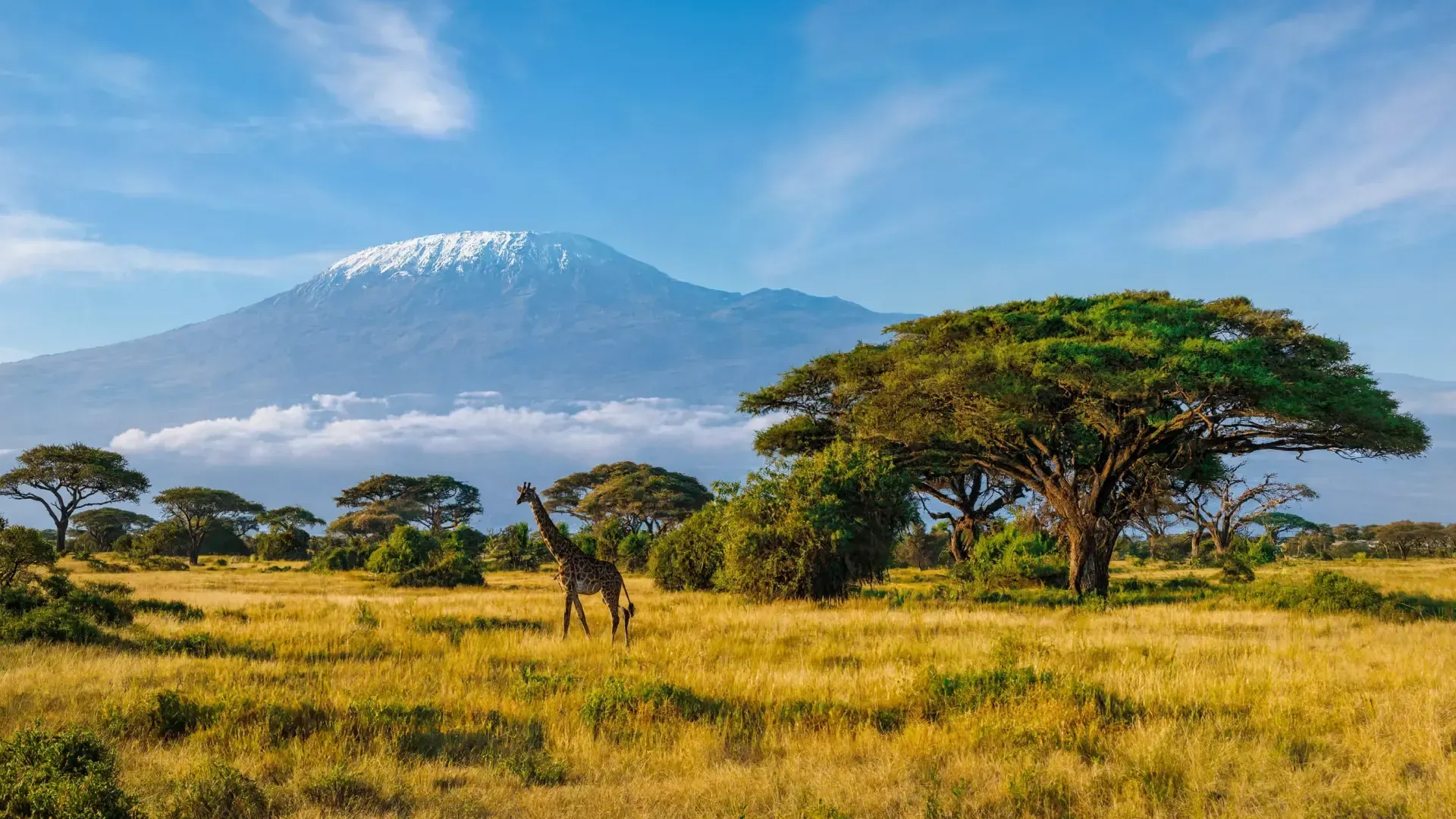 Amboseli National Park