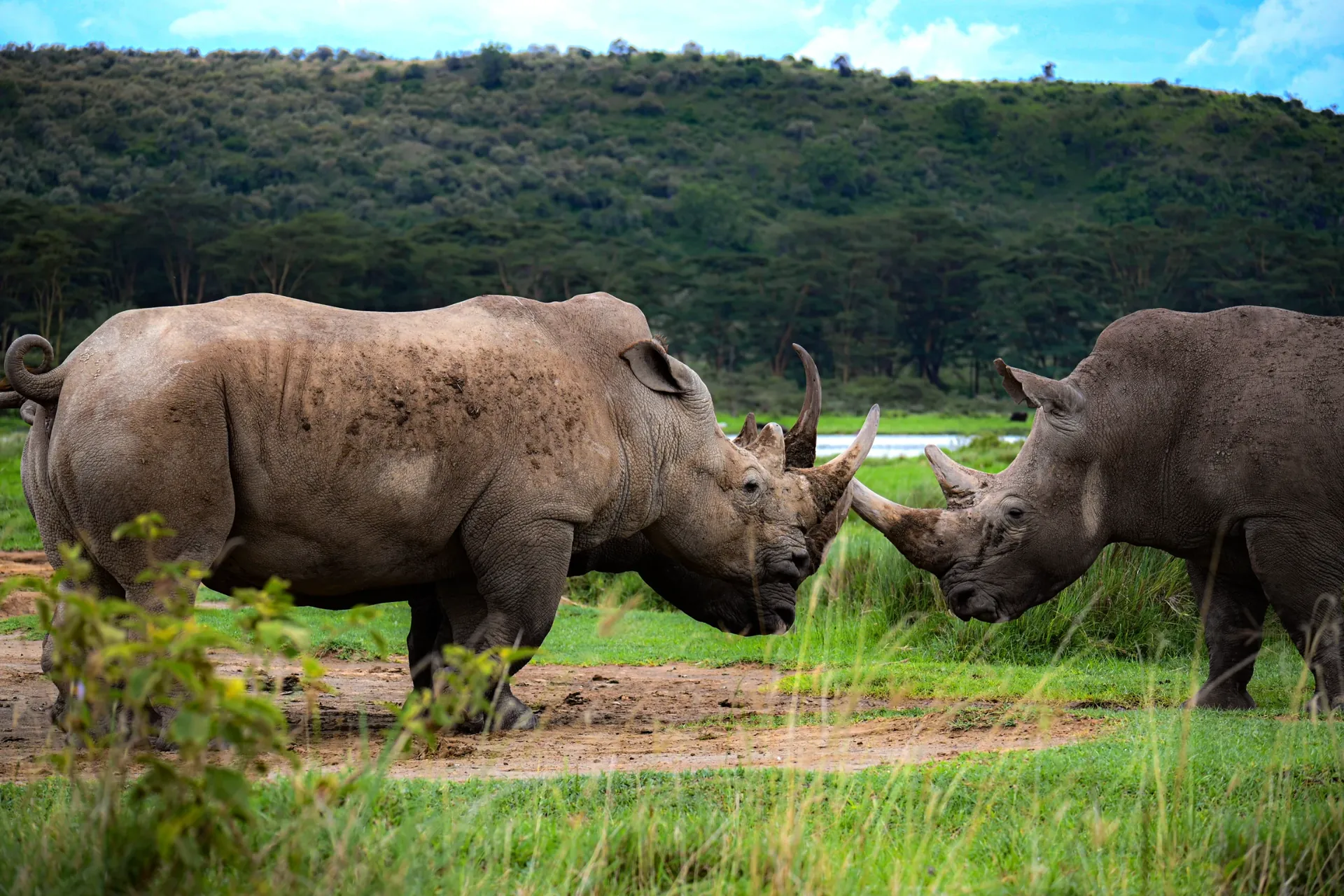 Lake Nakuru National Park